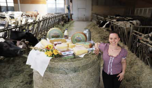 Marianna Caneppele e suo marito Lorenzo Bertoldi conferiscono il latte delle loro bovine (una cinquantina i capi in lattazione, razza Frisona e Bruna) al 'Caseificio degli Altopiani e del Vezzena' per la produzione di Vezzena Dop, Asiago e altri eccellenti formaggi tipici