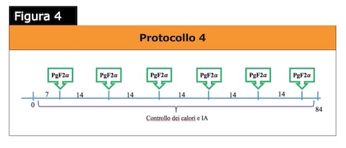 Protocollo 4
