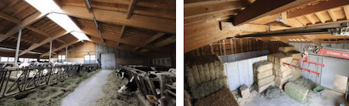 A sinistra: la stalla inaugurata nel 2014: una struttura ampia, ariosa, ben illuminata e con un microclima adeguato alle bovine, sia in estate che in inverno. A destra: il fienile è provvisto di essiccatoio e di carroponte installato al colmo del tetto