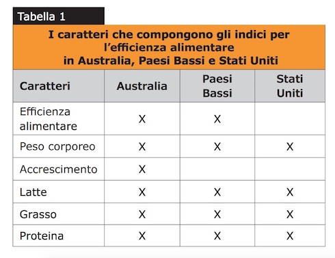 Tabella 1: I caratteri che compongono gli indici per l'efficienza alimentare in Australia, Paesi Bassi e Stati Uniti