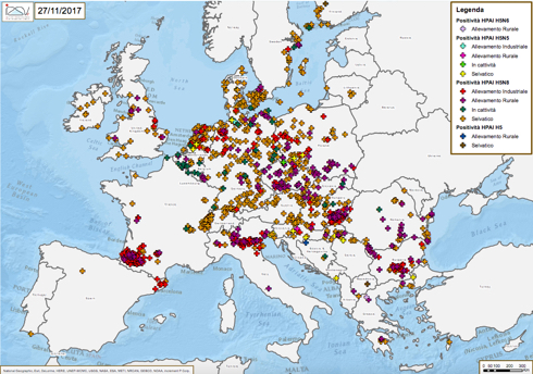 La diffusione dell'influenza aviaria nei paesi europei