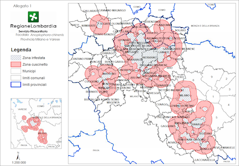 La cartina delle zone infestate da A. Chinensis, presa da D.d.u.o 10 febbraio 2020, Regione Lombardia
