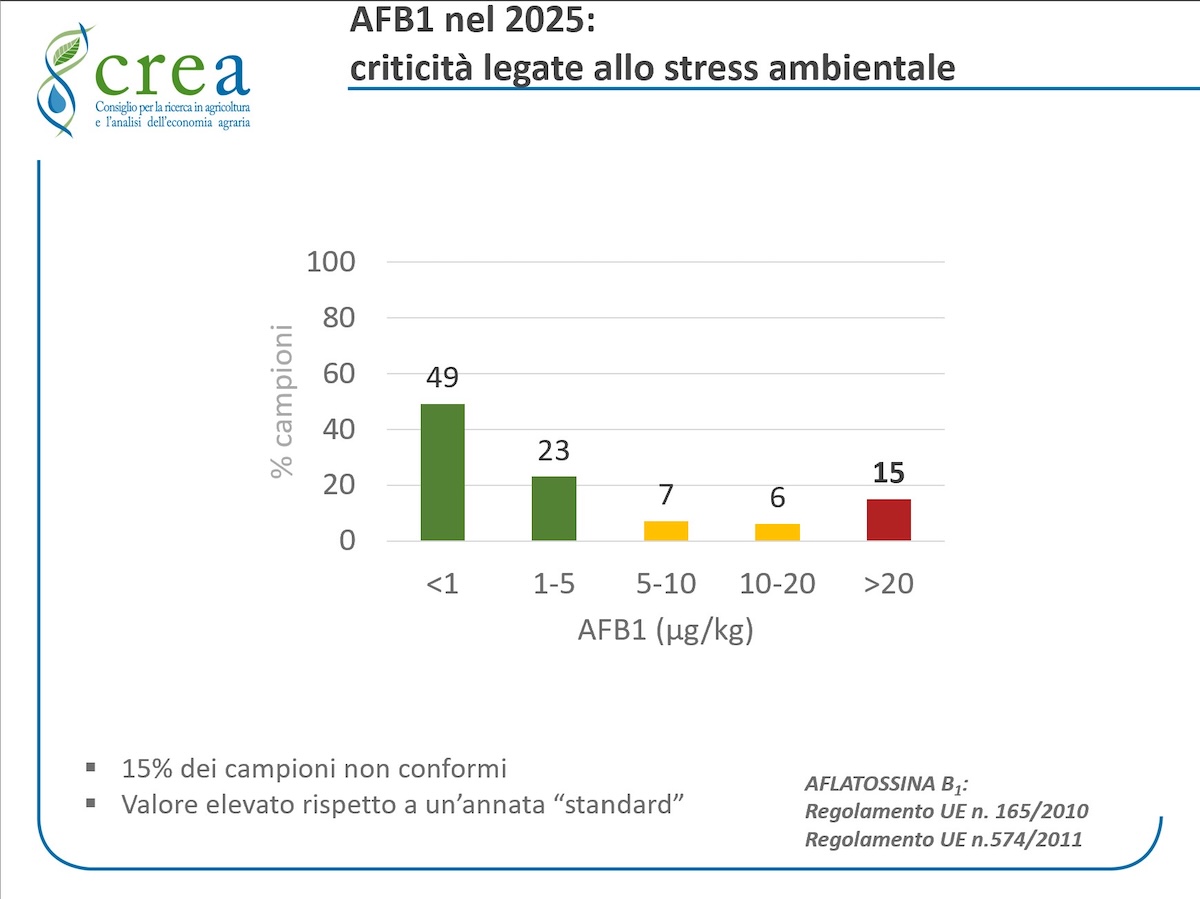 Aflatossina B1 nel 2025: criticità legate allo stress ambientale