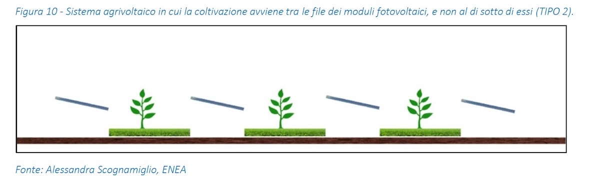 Sistema agrivoltaico in cui la coltivazione avviene tra le file dei moduli fotovoltaici non al di sotto di essi (Tipo 2)