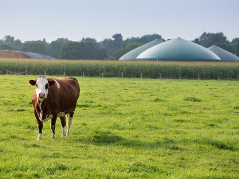 Impianto biogas come risorsa per produrre bioenergia