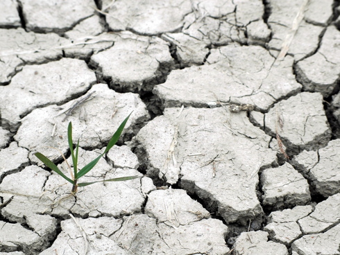Crepe in un terreno dopo una lunga siccità