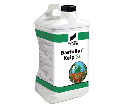 basfoliar-kelp-sl-fonte-compo-expert.png