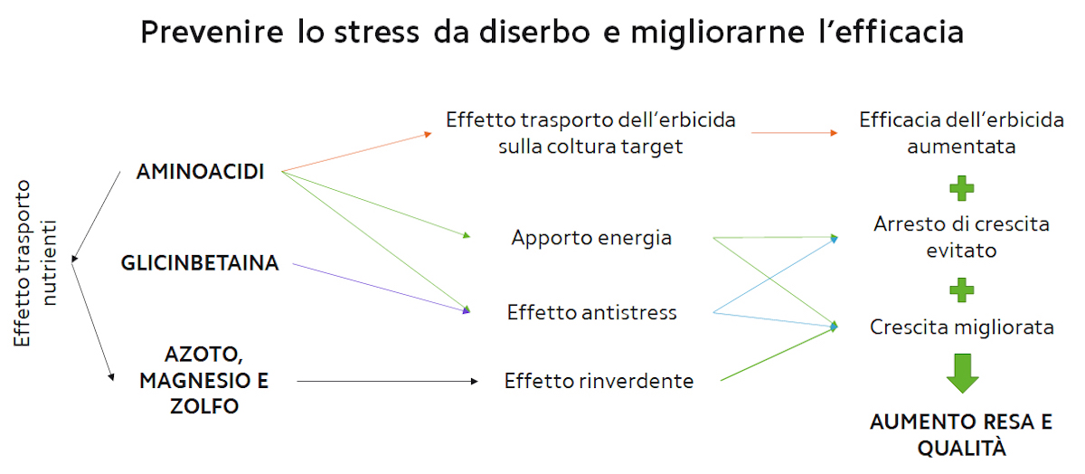 stress-diserbo-basfoliar-cereals-ls-fonte-compo-expert.jpg