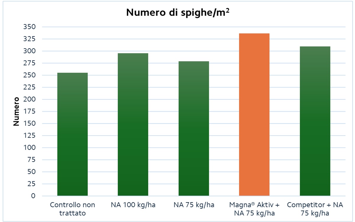 numero-spighe-magna-aktiv-dicembre-2024-fonte-compo-expert-1200x750.jpg