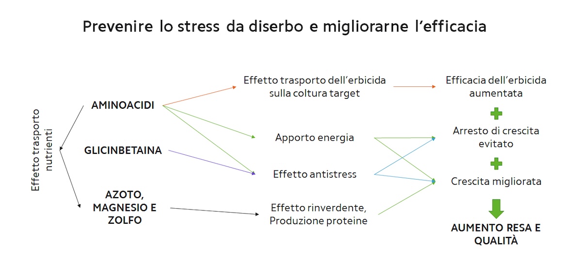 prevenire-stress-diserbo-fonte-compo-expert.jpg