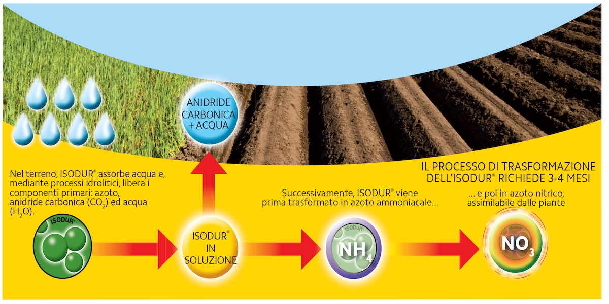 schema-isodur-settembre-2024-fonte-compo-expert-1200x600.jpg