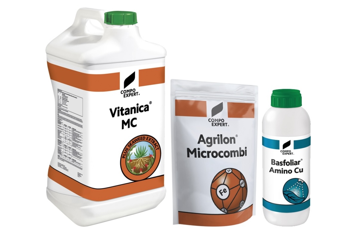 vitanica-mc-agrilon-microcombi-basfoliar-amino-cu-settembre-2024-fonte-compo-expert-1200x800.jpg