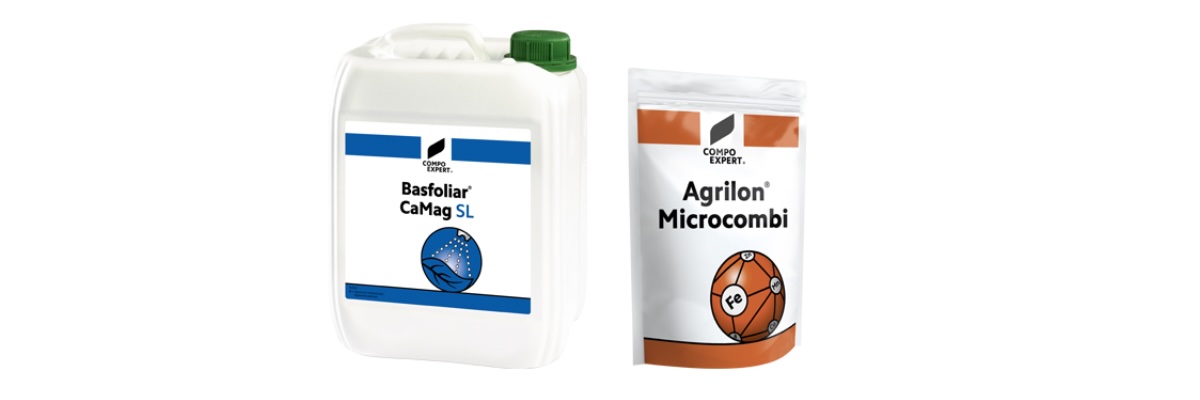 basfoliar-camag-sl-agrilon-microcombi-febbraio-2025-fonte-compo-expert-1200x400.jpg