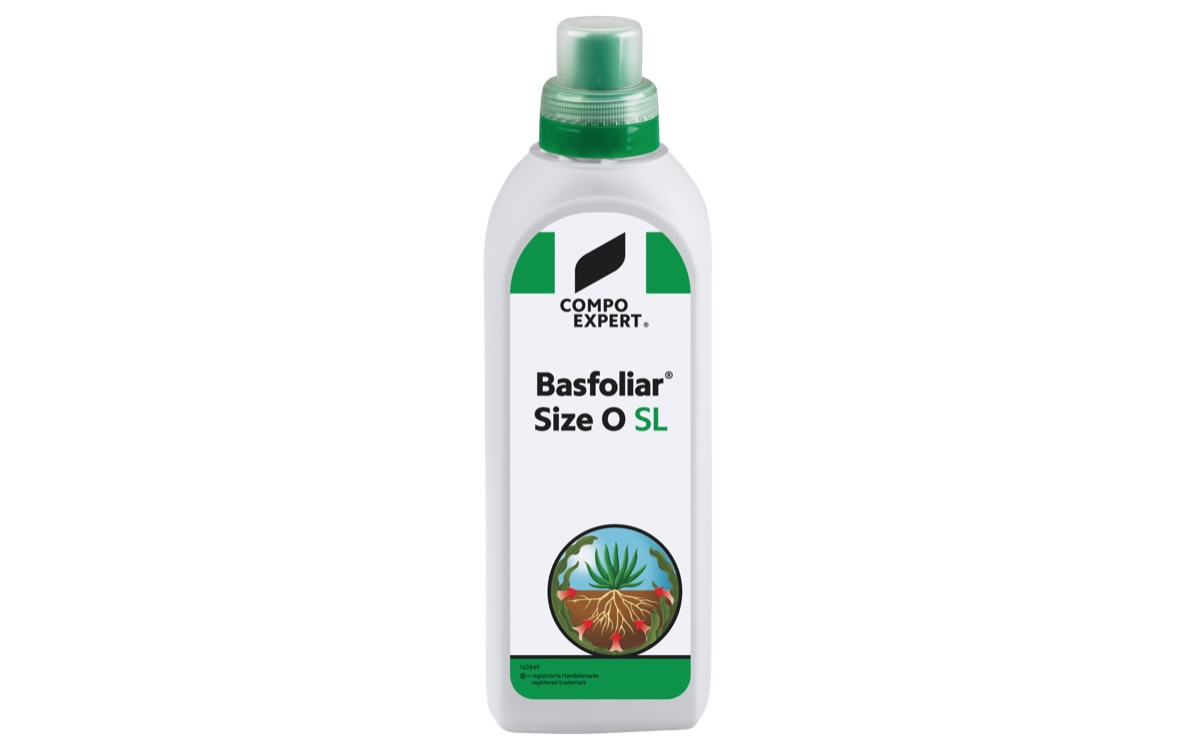 basfoliar-size-o-sl-marzo-2025-fonte-compo-expert-1200x750.jpg