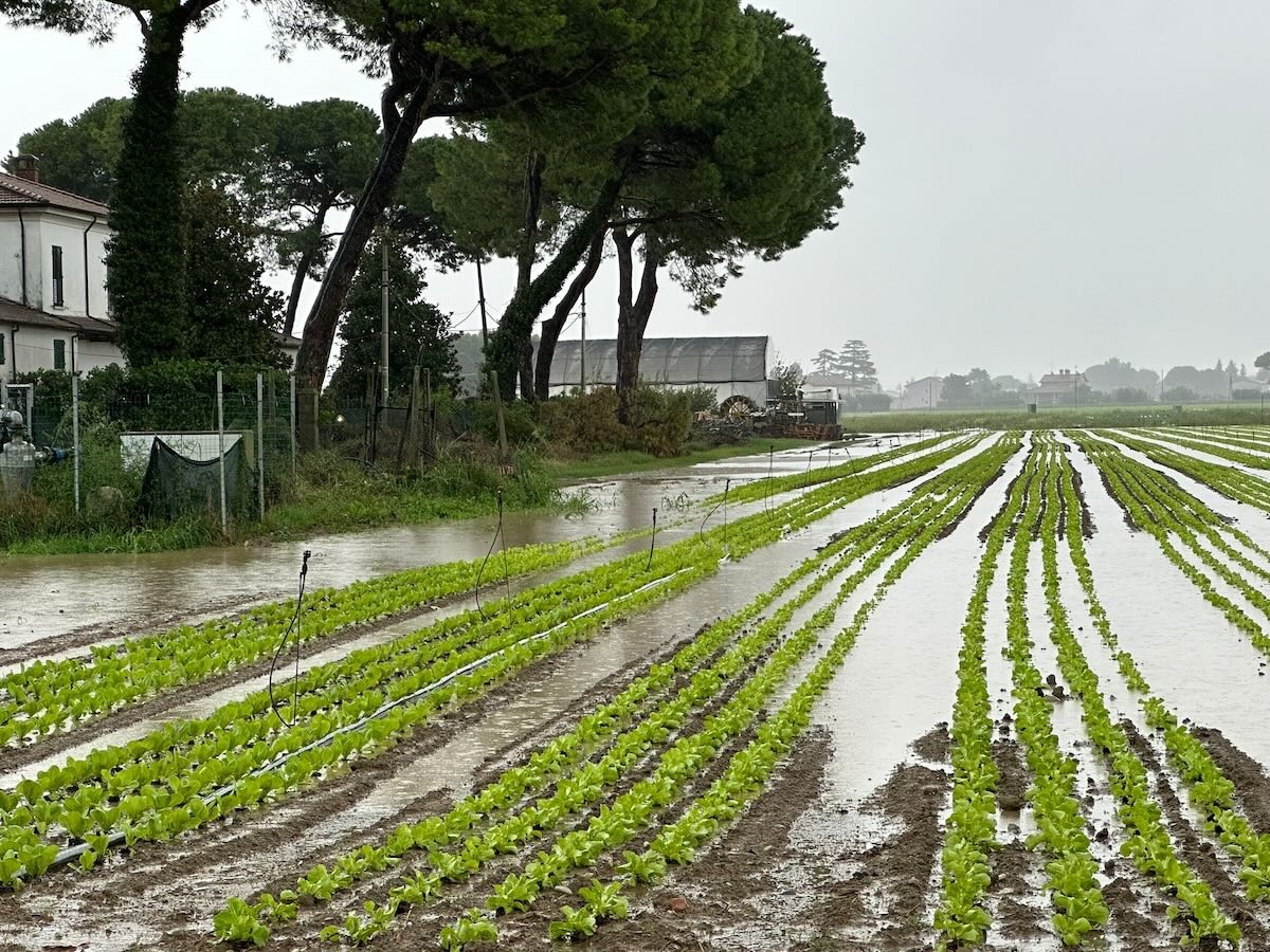 Allagamenti, alluvione Emilia Romagna settembre 2024