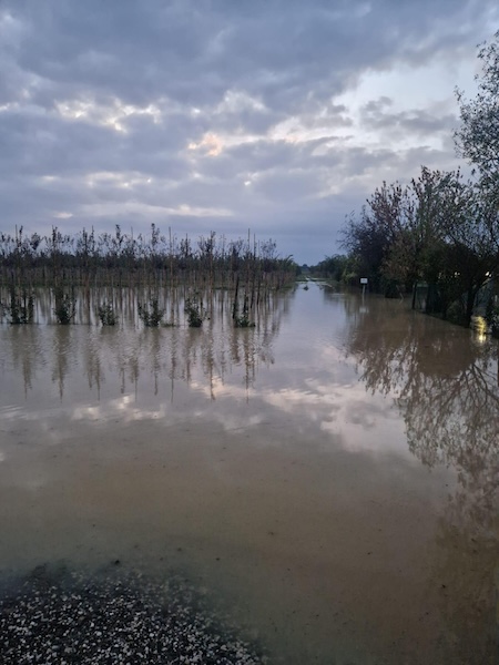 Allagamenti nel bolognese