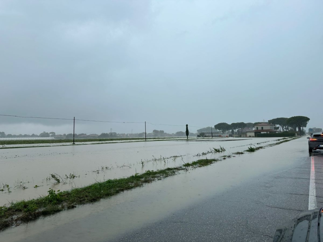 allagamenti-in-campagna-tra-forli-e-cesena-19-set-2024-confagricoltura-forli-cesena-rimini.jpg