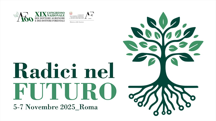 Grafica Congresso Conaf 2025