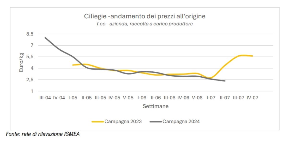 Andamento dei prezzi medi delle ciliegie all'origine nelle campagne 2023 e 2024