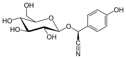 durrina-struttura-molecolare.png