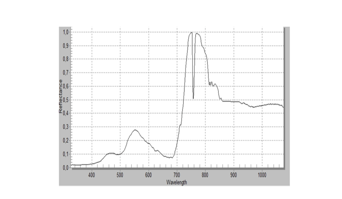 Grafico che mette in relazione la riflettanza con la lunghezza d'onda