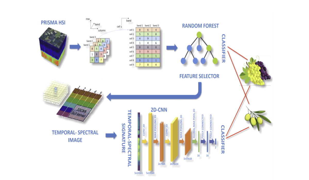 Schema sull'uso delle immagini del satellite Prisma