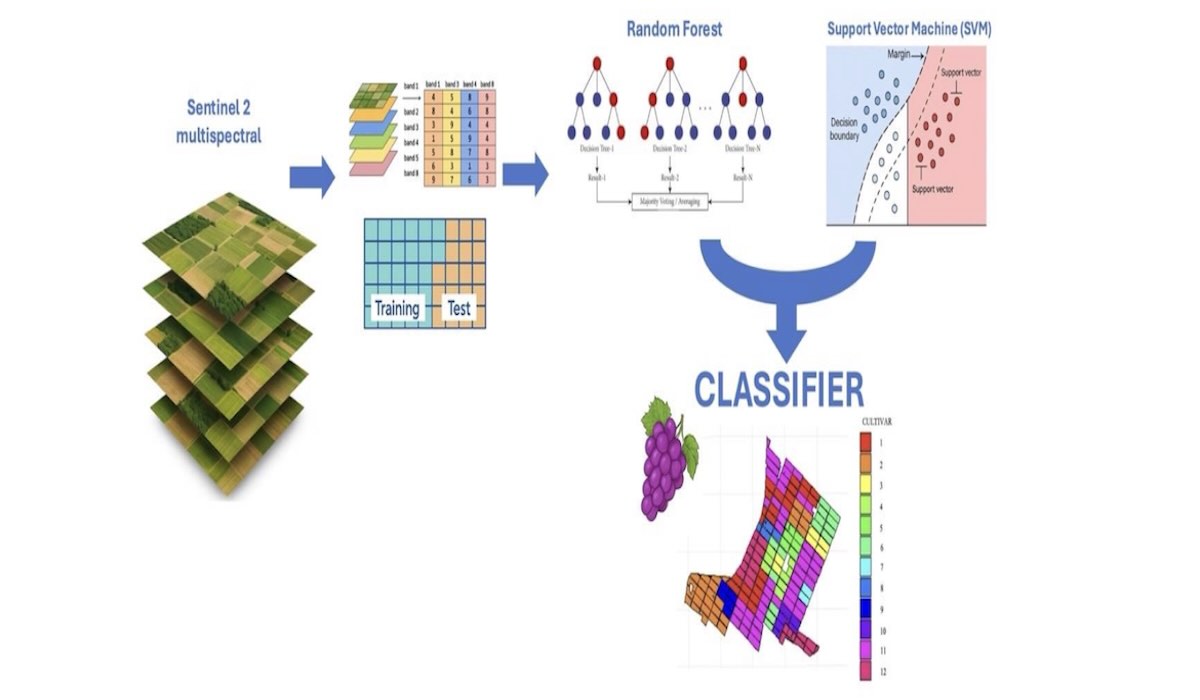Schema sull'uso delle immagini di Sentinel 2