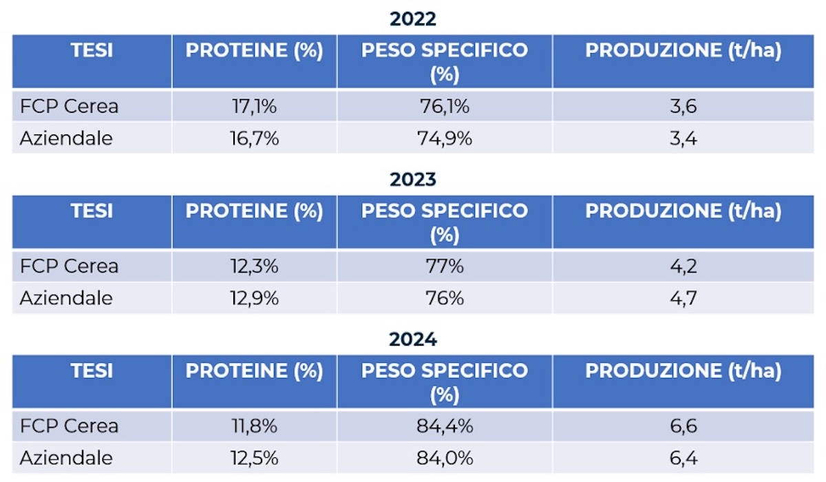 tabella-prove-tesi-fonte-fcp-cerea-redazionale-novembre2024-1200x700.jpg