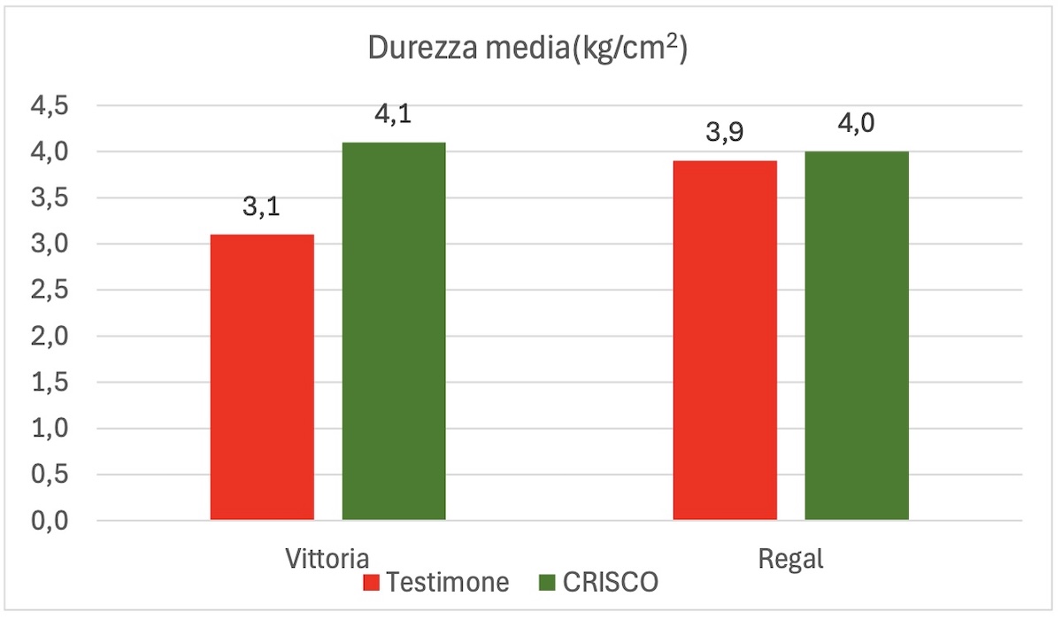 durezza-acini-grafico-uva-tavola-crisco-fonte-fcp-cerea-redazionale-gennaio2025-1200x700.jpg