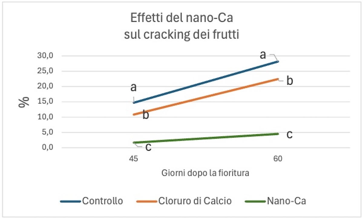 grafico-effetti-nanoc-cracking-fonte-fcp-cerea-redazionale-2-dicembre-2025-1200x724.jpg