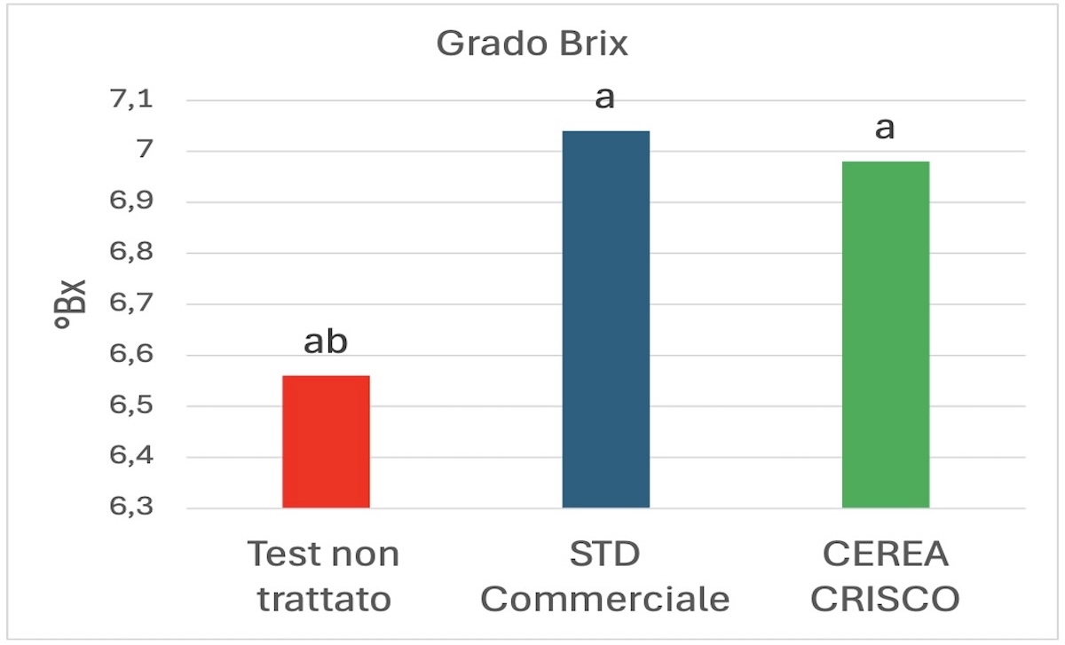 grafico-grado-brix-crisco-prove-fonte-fcp-cerea-redazionale-dicembre-2025-1200x727.jpg
