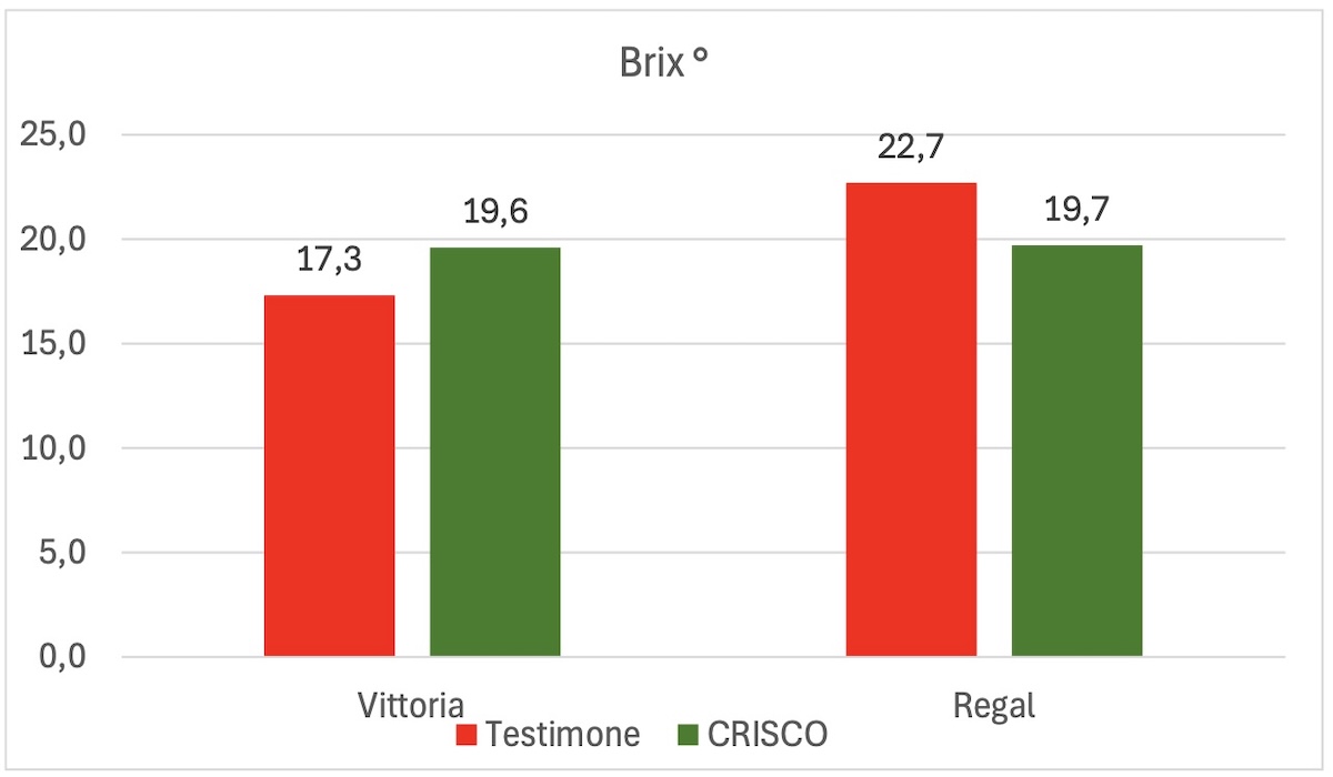 grafico-grado-brix-uva-tavola-crisco-fonte-fcp-cerea-redazionale-gennaio2025-1200x700.jpg