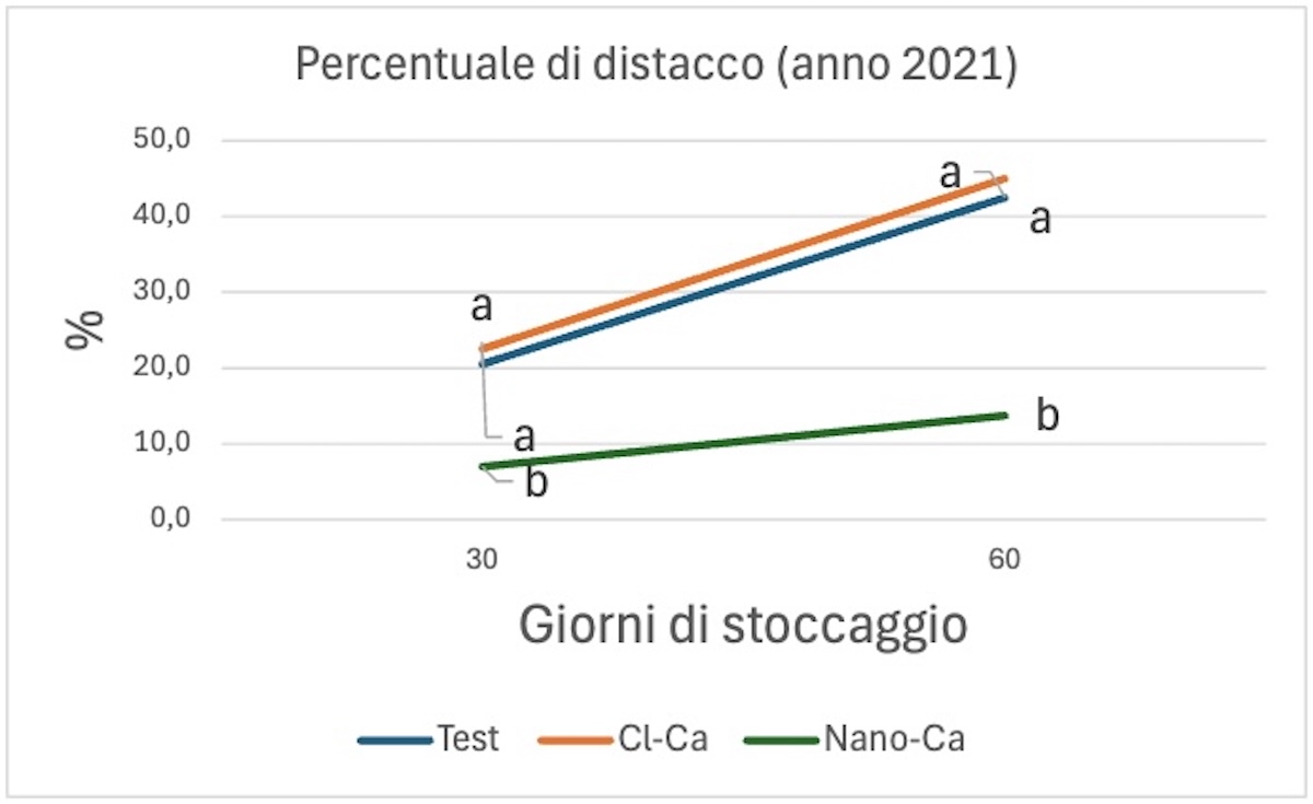 grafico-percentuale-distacco--fonte-fcp-cerea-redazionale-2-dicembre-2025-1200x735.jpg