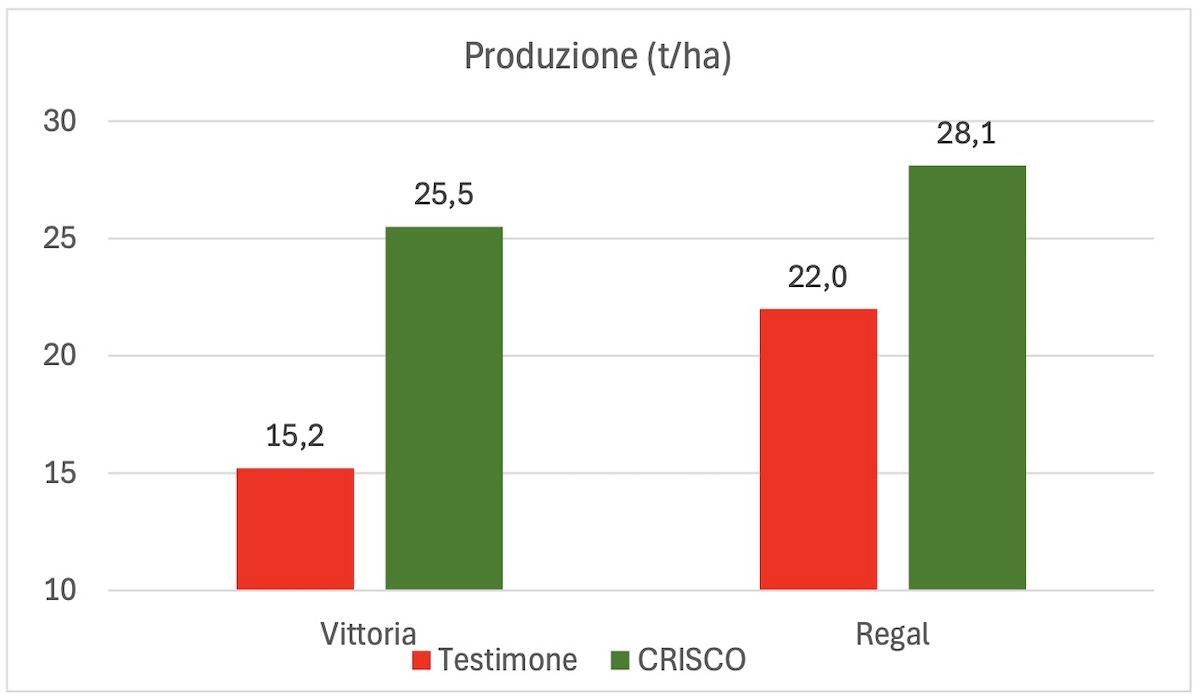 grafico-produzione-uva-tavola-crisco-fonte-fcp-cerea-redazionale-gennaio2025-1200x700.jpg