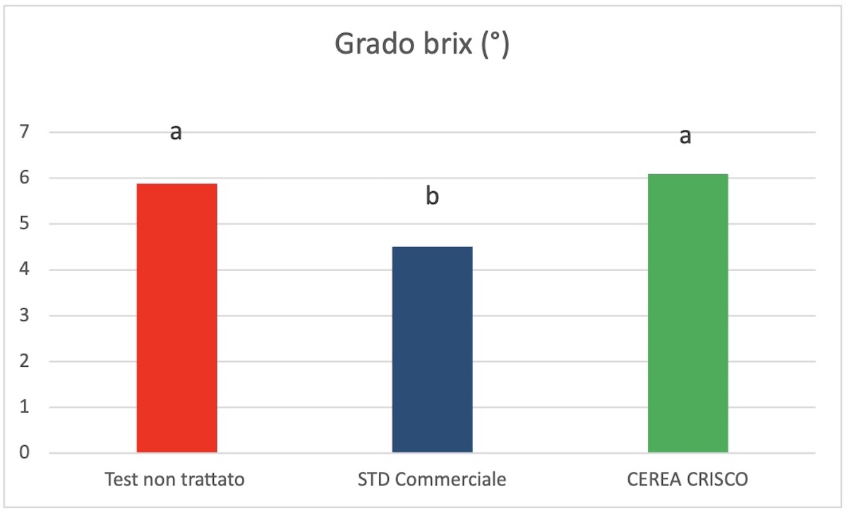 grafico2-grado-brix-crisco-prove-fonte-fcp-cerea-redazionale-dicembre-2025-1200x727.jpg
