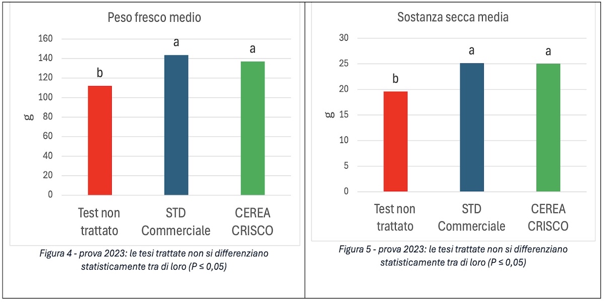 grafico2-peso-medio-frutti-prova-crisco-kiwi-fonte-fcp-cerea-redazionale-dicembre-2025-1200x600.jpg