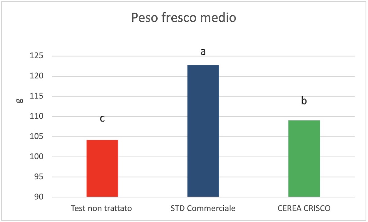 peso-fresco-medio-grafico-prove-crisco-kiwi-fonte-fcp-cerea-redazionale-dicembre-2025-1200x727.jpg