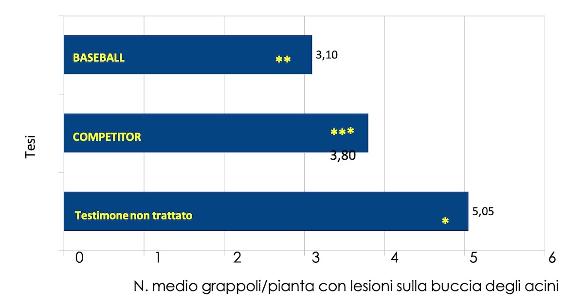grafico: numero medio di grappoli/pianta con lesioni sulla buccia degli acini