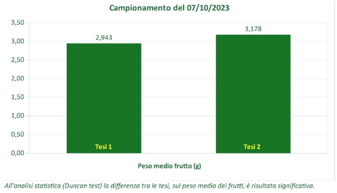 grafico-2-campionamento-olive-peso-frutti-olive-fonte-fomet-1100x630.jpg