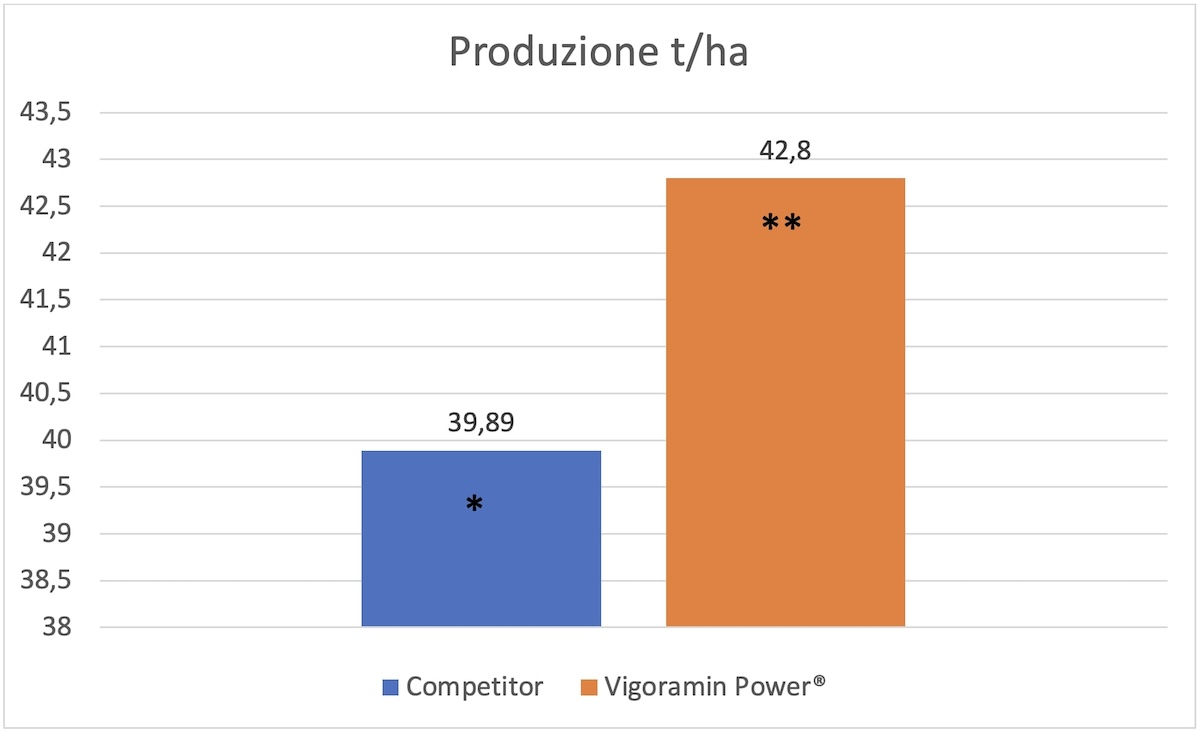 produzione-competitor-vigoramin-power-fonte-fomet-1200x732.jpg
