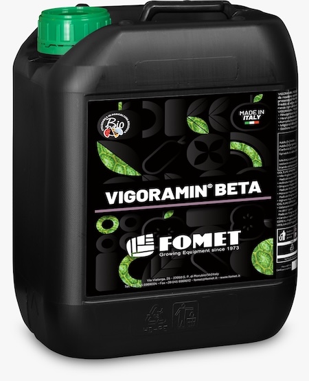 vigoramin-beta-fonte-fomet-450x550.jpeg