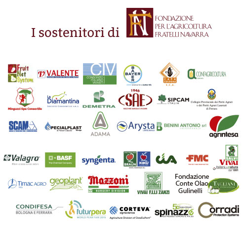 Logo della Fondazione F.lli Navarra di Ferrara e partner 