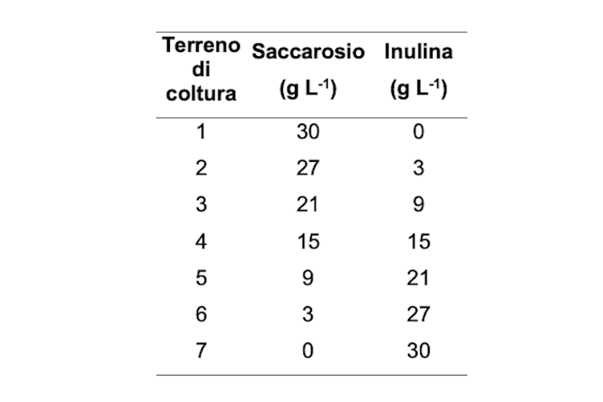 Valutazione della resa e delle caratteristiche dei corpi fruttiferi su diversi substrati