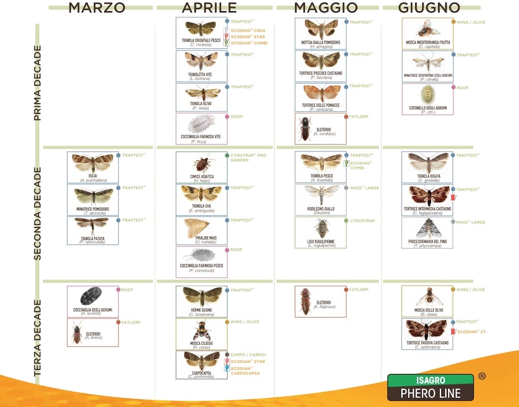 Poltiglie Manica, la nuova etichetta ministeriale - Difesa e diserbo -  AgroNotizie