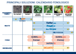 Calendario fenologico 