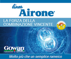 Linea Airone