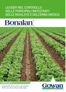 bonalan-brochure-fonte-gowan.png