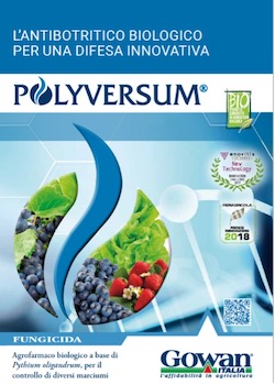 polyversum-brochure-fonte-gowan.jpg