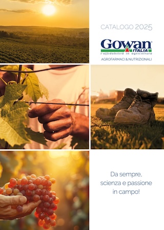 catalogo-2025-fonte-gowan-320x450.jpg