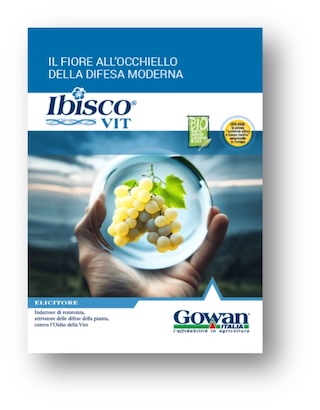 ibisco-vit-fonte-gowan-320x410.jpg